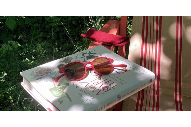 Lesebrillen Zubehör Kategoriebild Zubehör für Lesebrillen