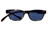 No. 03 bifocal Tortoise