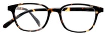 No. 66 Tortoise