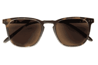 Playa, Tortoise braun