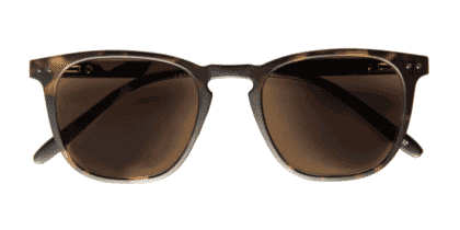 playahavanna1 Playa, Tortoise braun