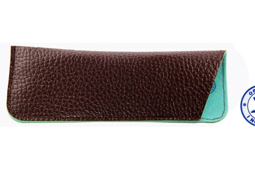 Bluebreaker Panto, Tortoise