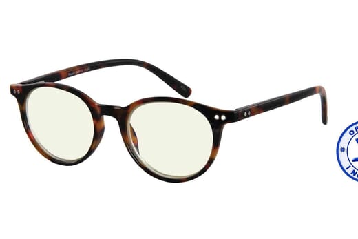 Bluebreaker Panto, Tortoise