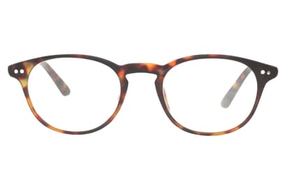 I NEED YOU Lesebrille DOKTOR NEW HAVANNA frontal 2 Lesebrille I NEED YOU DOKTOR NEW HAVANNA frontal 2