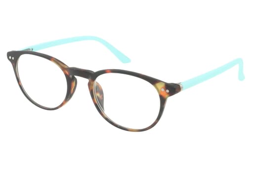 Doctor New, Tortoise turquoise