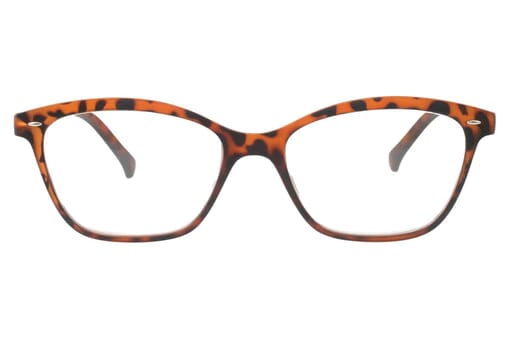 Lesebrille LEXXOO 4120A demi braun frontal