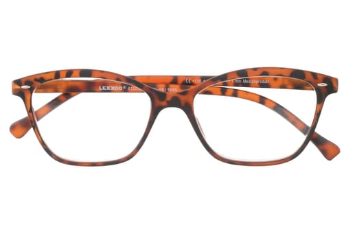 LEXXOO Reading glasses 4120A demi brown closed