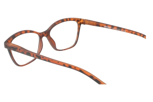 LEXXOO Reading glasses 4120A demi brown inside