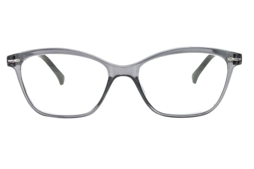Reading glasses LEXXOO 4120A gray frontal