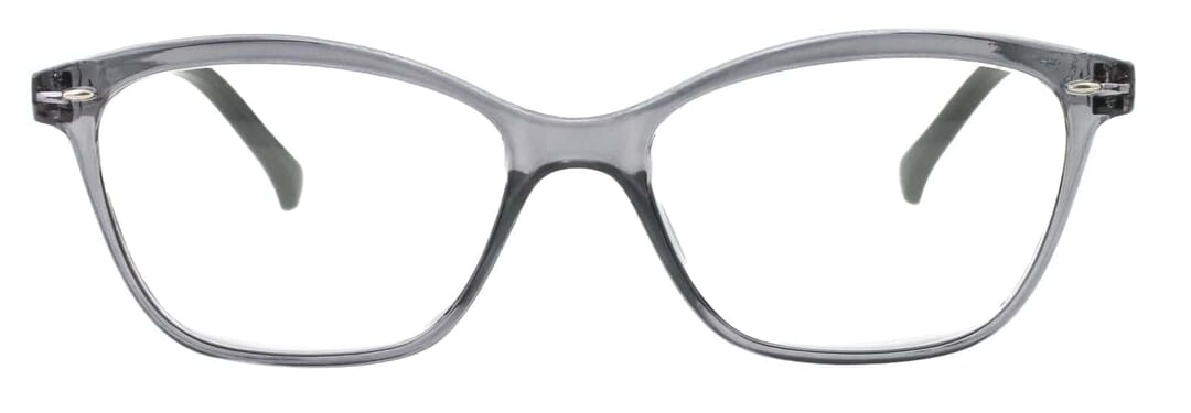 LEXXOO Reading glasses 4120A gray frontal Reading glasses LEXXOO 4120A gray frontal