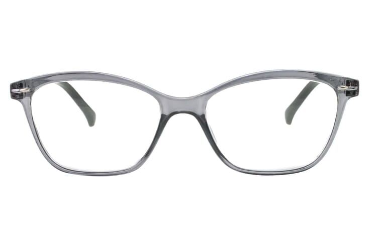 LEXXOO Reading glasses 4120A gray frontal Reading glasses LEXXOO 4120A gray frontal