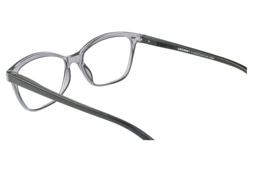 LEXXOO Reading glasses 4120A gray inside