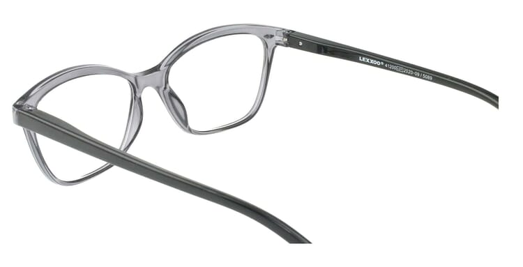 LEXXOO Reading glasses 4120A gray inside LEXXOO Reading glasses 4120A gray inside