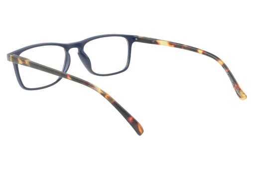 LEXXOO Reading glasses 4128B blue havana inside