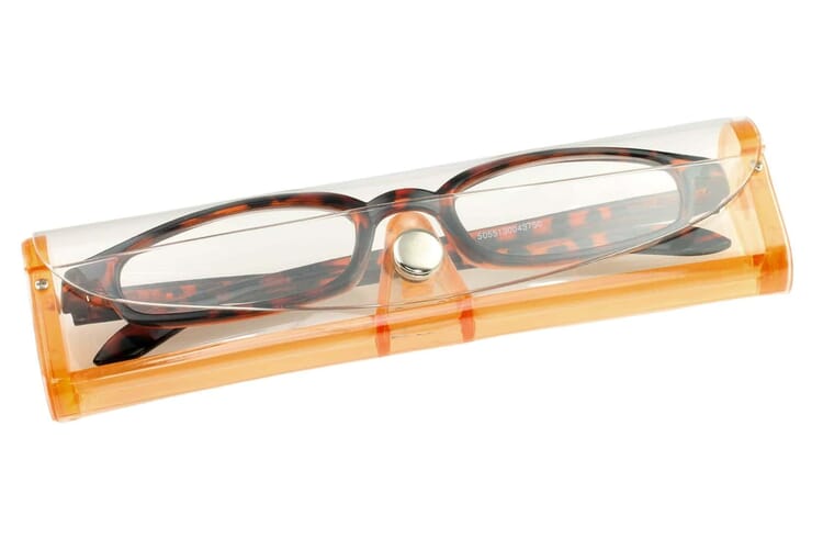 Lesebrille-Montana-R66-braun-mit-etui R66 Braun
