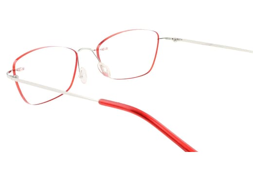 Reading glasses LEXXOO 4190 red inside
