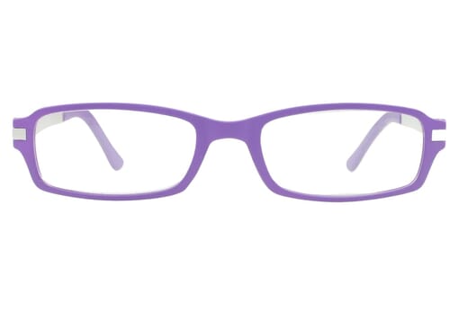 Reading glasses LEXXOO 4240 Purple Silver frontal