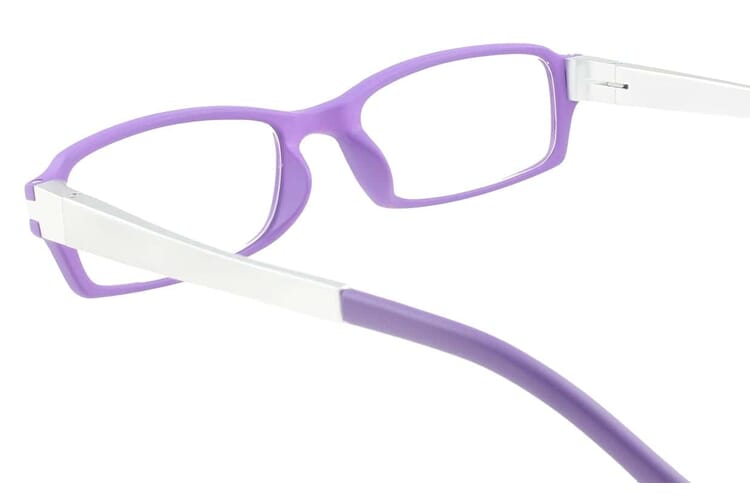 Reading glasses LEXXOO 4240 Purple Silver inside Reading glasses LEXXOO 4240 Purple Silver inside