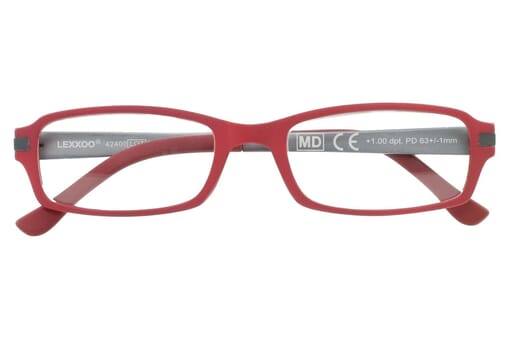 Lesebrille LEXXOO 4240 Rot Grau geschlossen