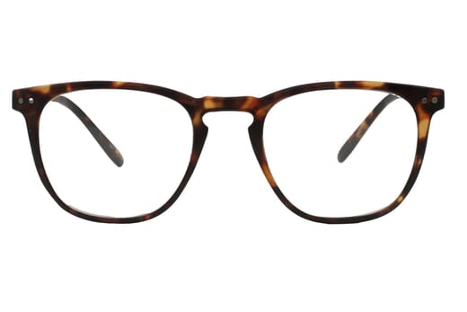 Lesebrille I Need You Tailor havanna frontal