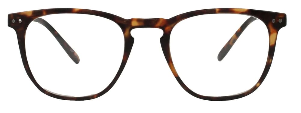 INY-G64900 frontal Lesebrille I Need You Tailor havanna frontal