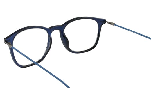Reading glasses LEXXOO 4153 blue inside