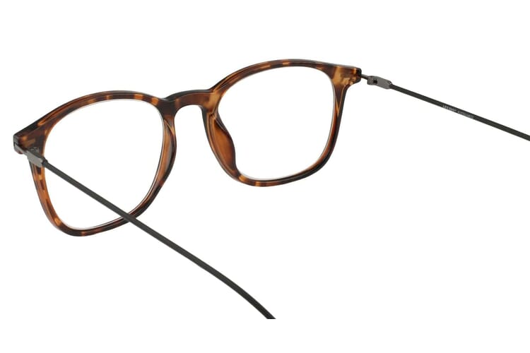 LXO-4153-DEMI-BRAUN innen Lesebrille Lexxoo 4153 demi-braun innen