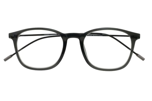 Lesebrille Lexxoo 4153 grau geschlossen