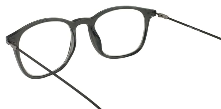 LXO-4153-GRAU innen Lesebrille Lexxoo 4153 grau innen