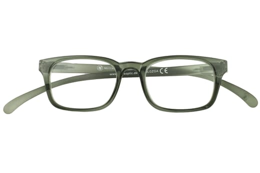 Lesebrille Klammeraffe No. 11 sage frontal