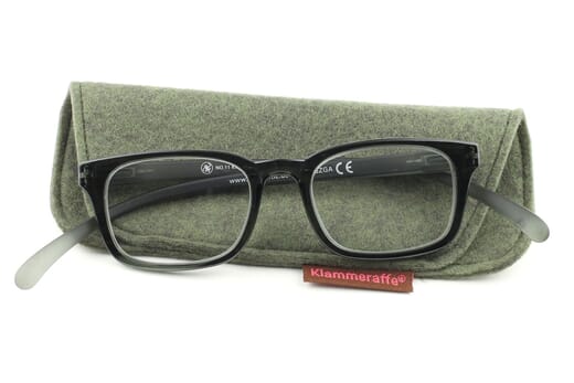 Lesebrille Klammeraffe No. 11 sage mit Etui