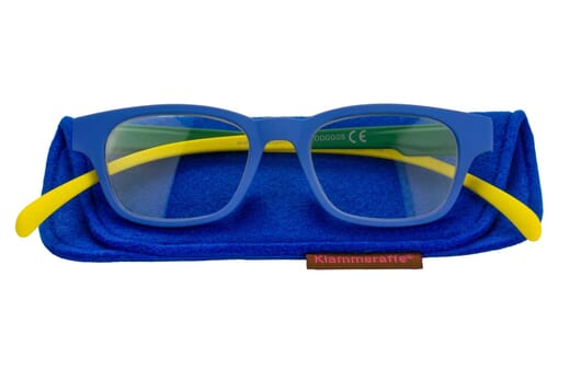 Lesebrille Klammeraffe No. 03 blue-green-yellow mit Etui