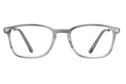 LEXXOO Lesebrille 4240B hellgrau frontal Lesebrille LEXXOO 4240B hellgrau frontal