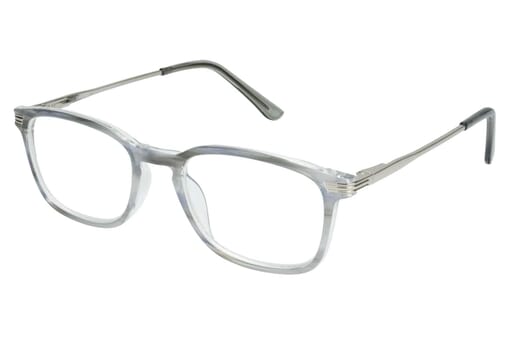 Lesebrille LEXXOO 4240B hellgrau seitlich