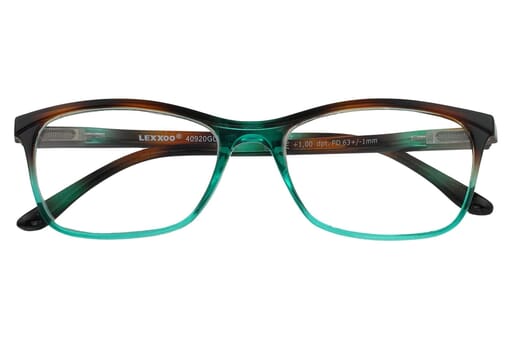 Reading glasses LEXXOO 4092 brown-petrol closed