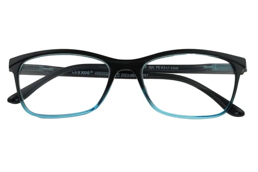 Lesebrille LEXXOO 4092 schwarz-blau geschlossen