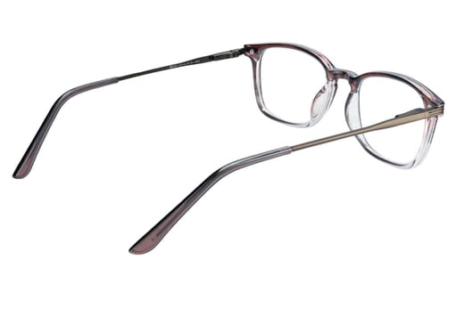 Reading glasses LEXXOO 4240b m3-brown inside