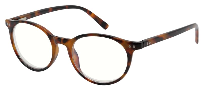 INEEDYOU-bluebreaker-panto-brown-sided Reading glasses I NEED YOU product image - Panto Bluebreaker brown