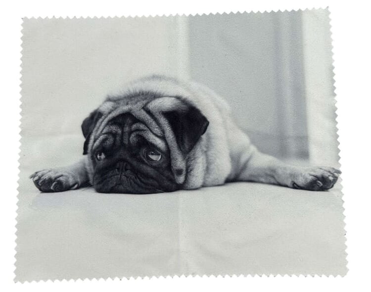 Victoria Collection dogs-pug-scarf-solo Reading glasses case Victoria Collection Pug