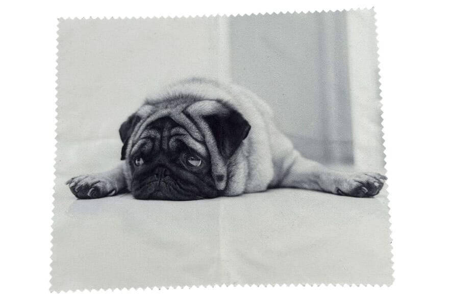 Victoria Collection dogs-pug-scarf-solo Reading glasses case Victoria Collection Pug