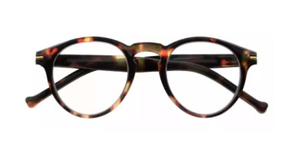 I Need You Lesebrille frankie havanna dunkel frontal Frankie, Tortoise dark
