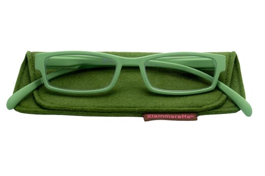 Lesebrille Klammeraffe 01 new green mit etui