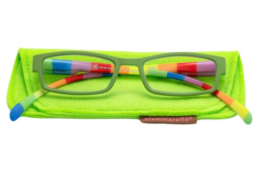Reading glasses Klammeraffe 08 colorful green with case