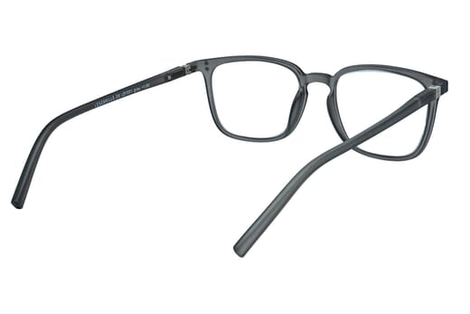 Lesebrille.de Kollektion LB1001 grau innen