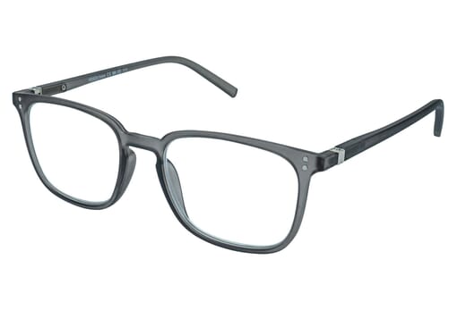 Lesebrille.de Kollektion LB1001 grau seitlich