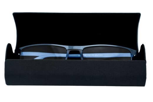 lesebrille-de-kollektion-lb1006-blau-mit-etui