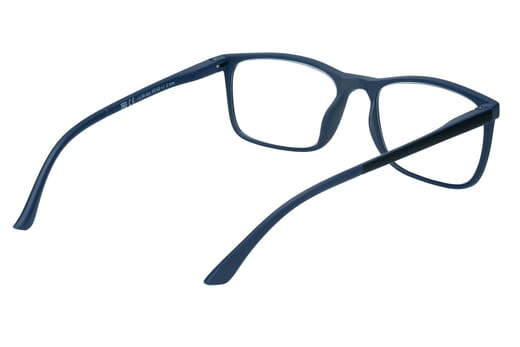 Reading glasses LEXXOO 4121A blue inside