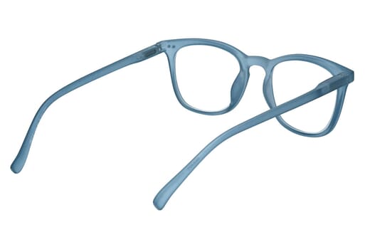Reading glasses LEXXOO 4122 blue inside