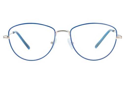 Reading glasses LEXXOO 4153B blue frontal