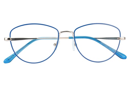 Reading glasses LEXXOO 4153B blue closed